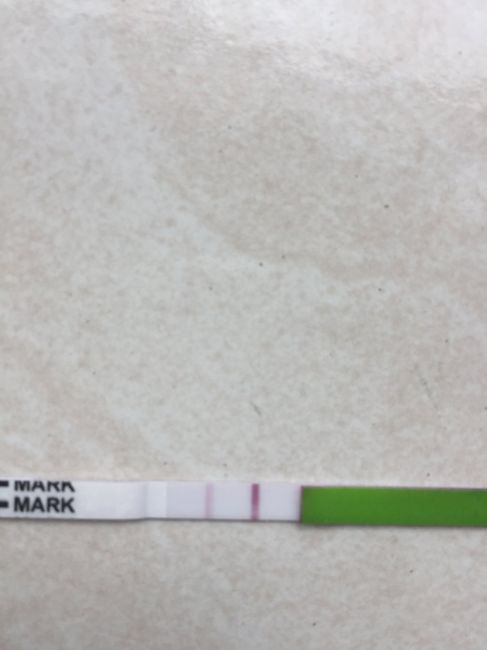 Aspiranti mamme di Novembre 2018!!!🍀 1