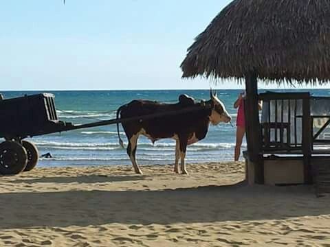 Madagascar 2013 (2) - 32