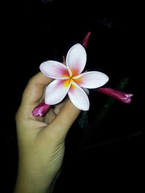 Madagascar 2013 (2) - 53