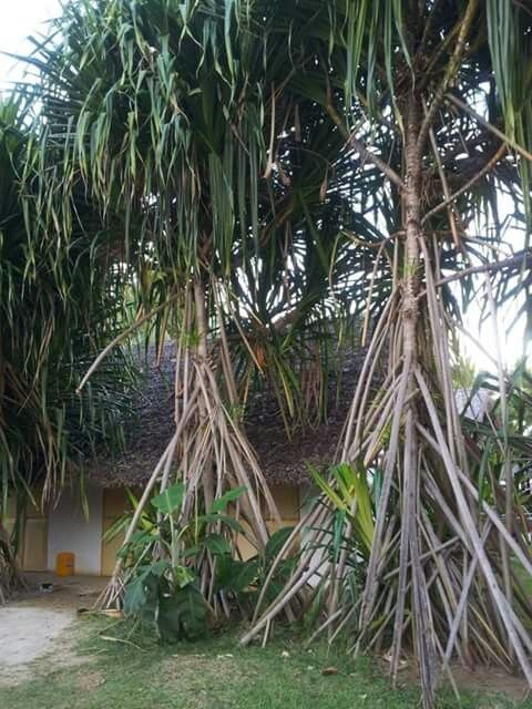 Madagascar 2013 (2) - 55