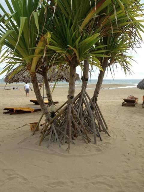 Madagascar 2013 (2) - 65