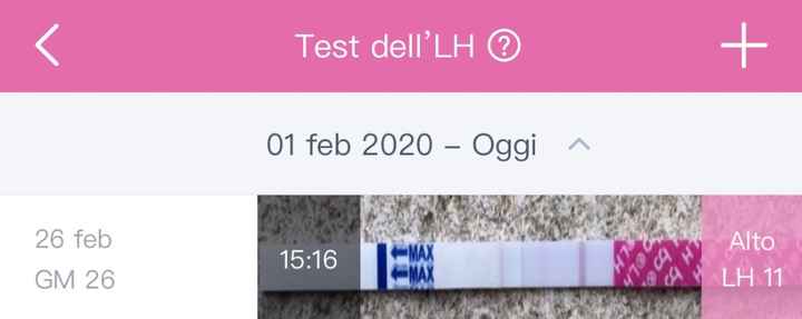 Ecco il test 2