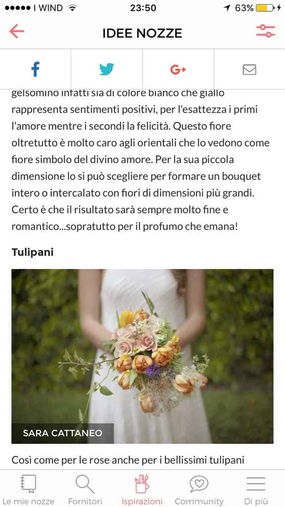 Indecisa sul bouquet!! - 1
