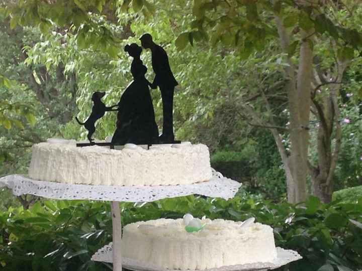 Un giorno fantastico!!! - 7