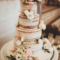  Naked cake: si  o  No? - 2