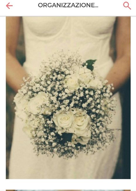 Ragazze sondaggio bouquet, mi aiutate a scegliere! - 3
