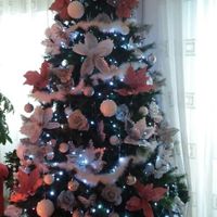 Fatto anche l'albero di Natale! - 1