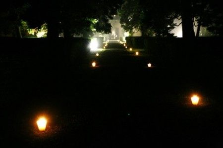 addobbi e decorazioni 