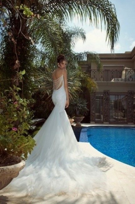 galia lahav