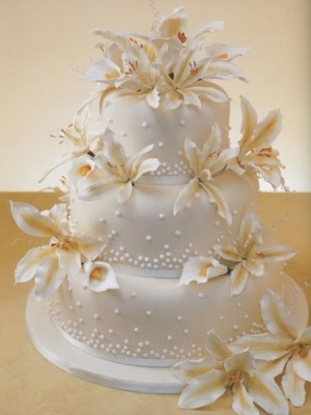 Cosa ne pensate? - 1