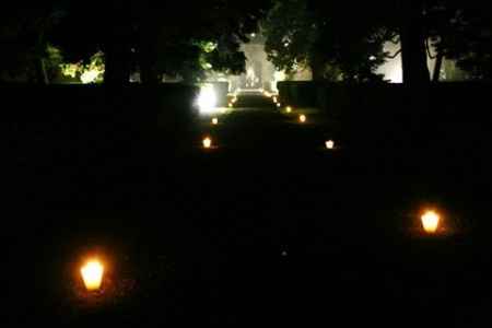 addobbi e decorazioni 