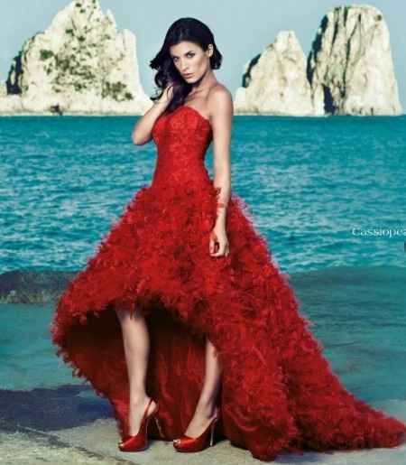 alessandro angelozzi 