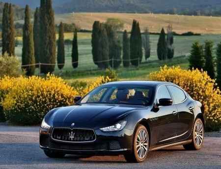 Calesse, auto o cosa vi porterà al luogo della cerimonia quel magico giorno? - 1