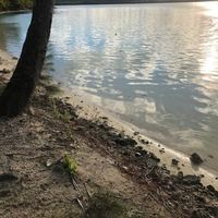 7 Bagnasciuga sporco Aitutaki Lagoon Resort