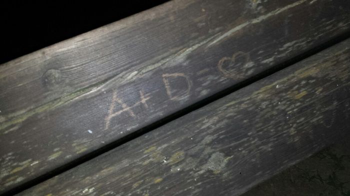 Abemus propostam ed anellum??? - 3