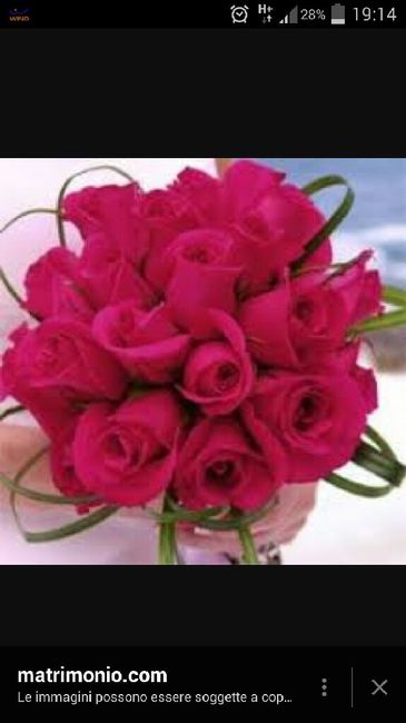 Sono una sposa tradizionalissima!!! - 3