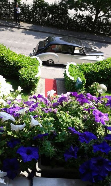 auto  : astin vanden plass princess e passatoia 