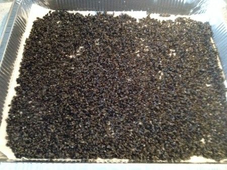 -3 al fatidico giorno - 6