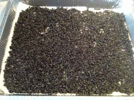 -3 al fatidico giorno - 6