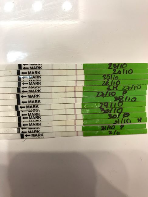 Chi non le aspetta per novembre 2019 - 1