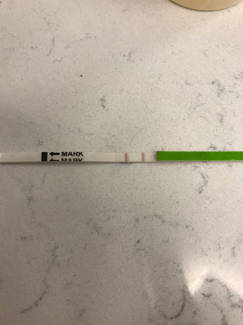 Chi non le aspetta per novembre 2019 - 1