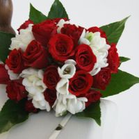 ALLESTIMENTO IS SERVICE OPEN DAY 22 GENNAIO 2012 CASALE DI VALLE CAJA