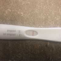 Mammine di febbraio 2020 - 1