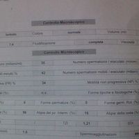 scusate ma non si carica la foto