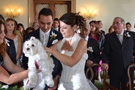 le fedi portate dalla nostra cucciola!!