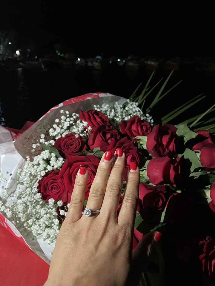 ...che è inaspettatamente diventato il giorno della proposta 