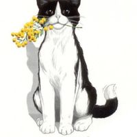 Festa della donna - 1