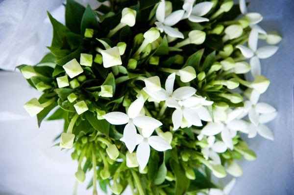 Fiori... quanto mi costate! :o - 1