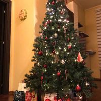 Avete mai fatto l'albero insieme? - 1