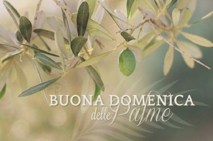 25/03/2018: Buonadomenicadellepalme...🌿 - 1