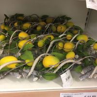 Idee centri tavola con limoni - 1