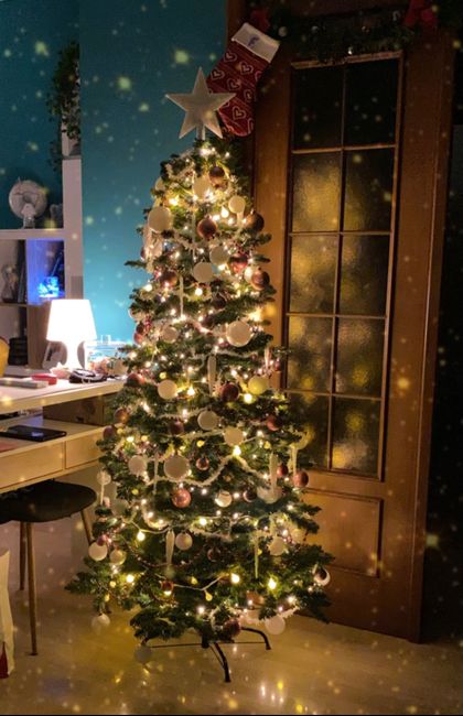 Avete mai fatto l'albero insieme? 1