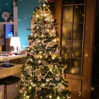 Avete mai fatto l'albero insieme? - 1