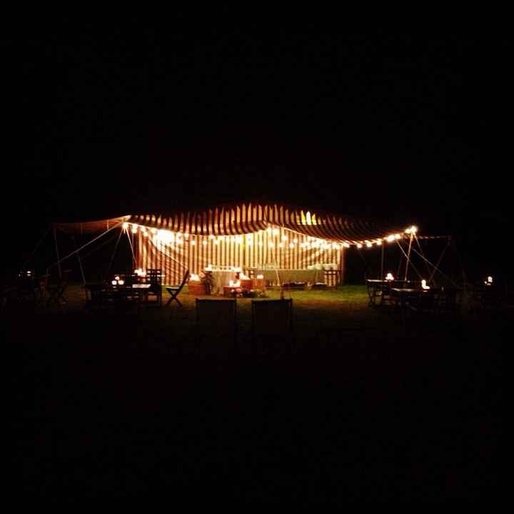 Wedding circus - 1