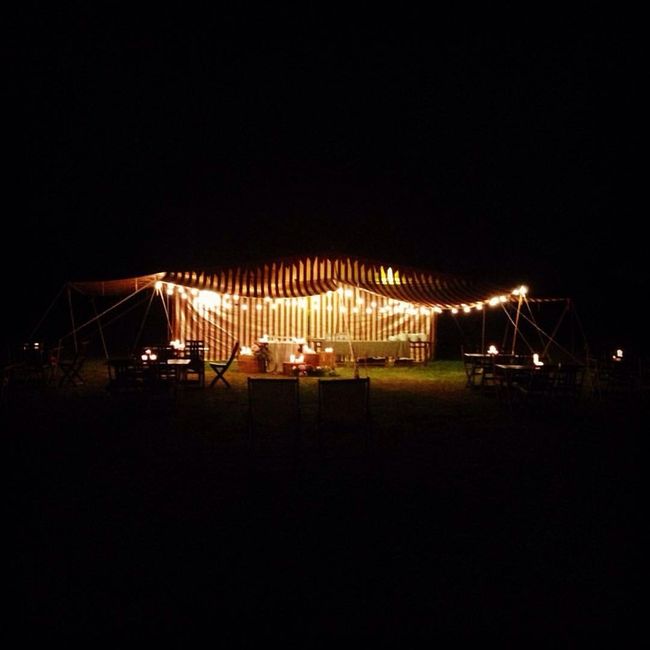 Wedding circus - 1