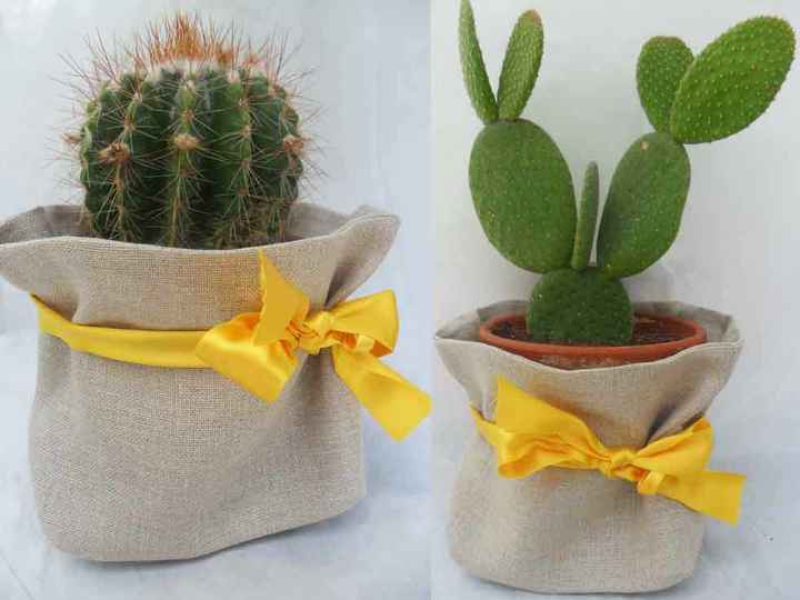 Pensierino per le colleghe - 1