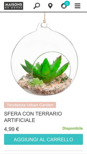 Pensierino per le colleghe - 2