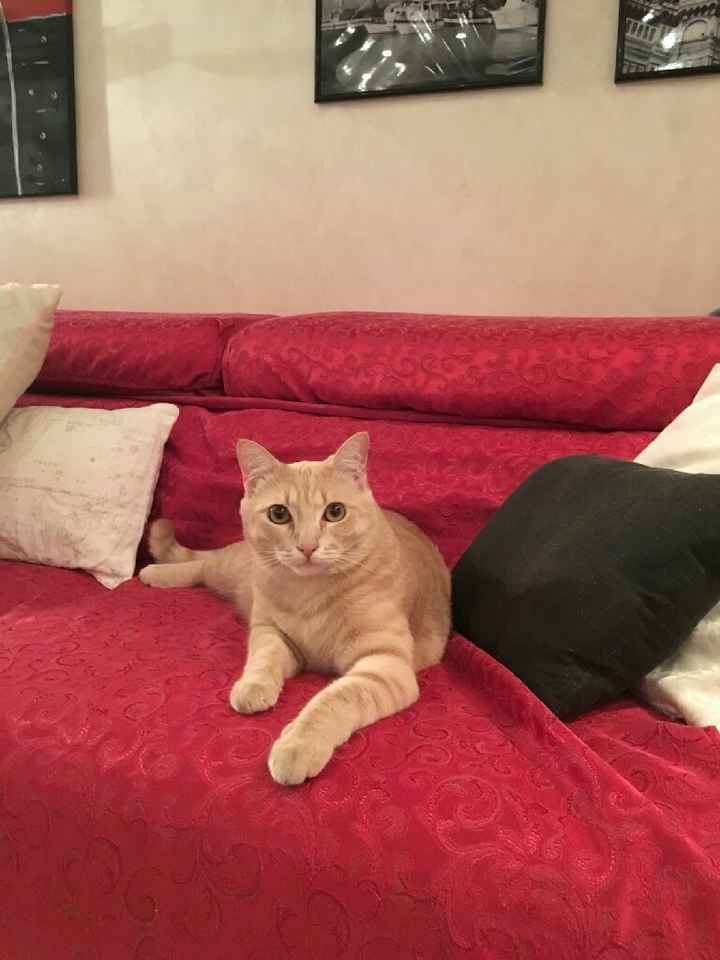 Vi presento nina! - 1