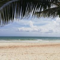 Consigli su Catalonia Playa Maroma (playa del Carmen) - 1