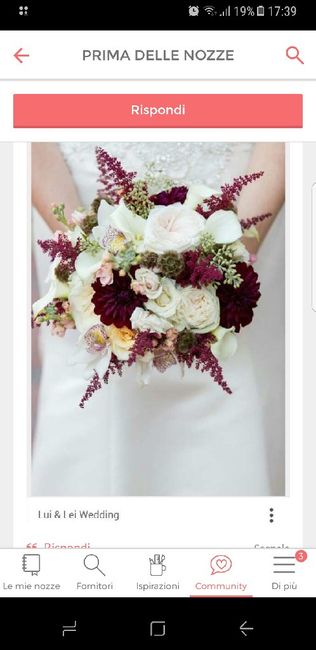 Colore x il vostro giorno - 1