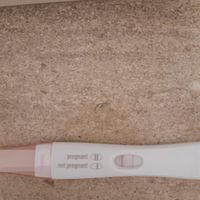 Chi non le aspetta per Dicembre 2020 🍀❣️🎄🎁🎀🌠 - 1