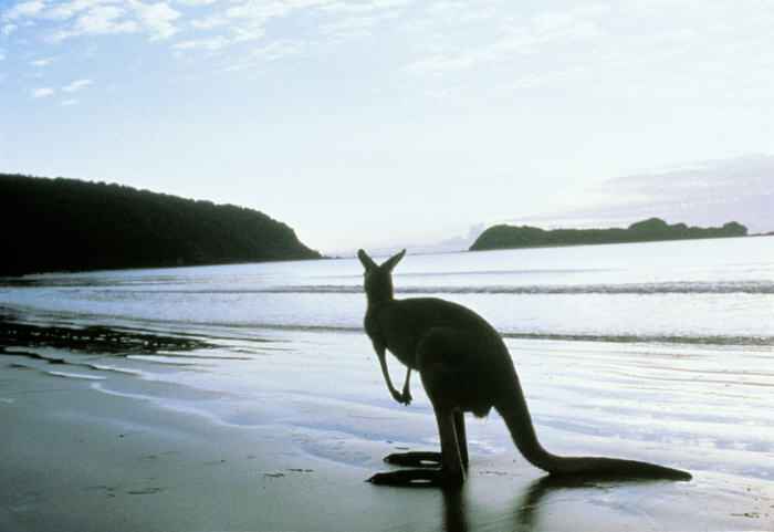 Kangaroo Island
