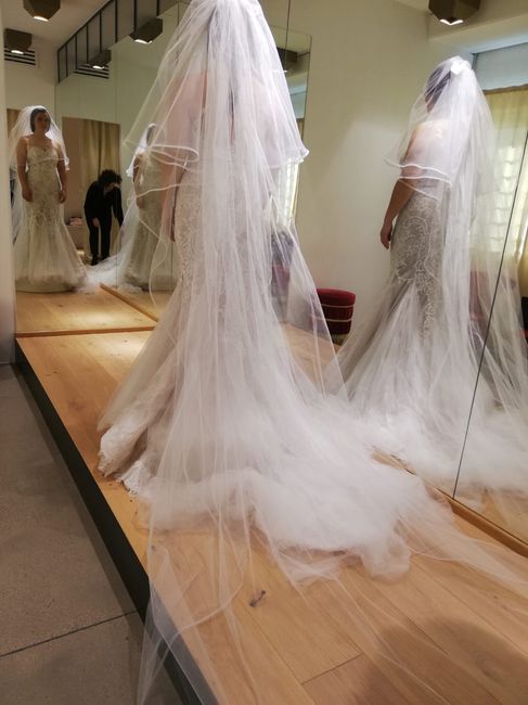 Indecisione sul velo! - 1