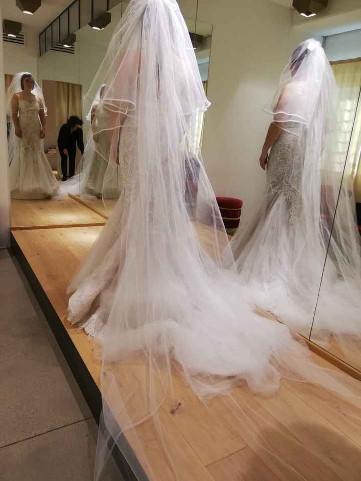 Indecisione sul velo! - 1