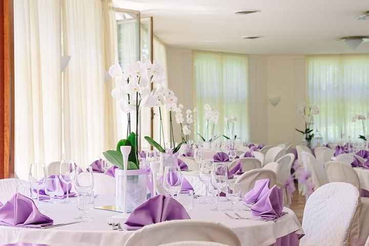 Mise en place glicine