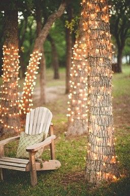 Fairy Lights 3